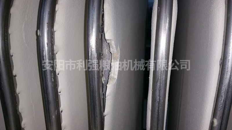 動植物油分提